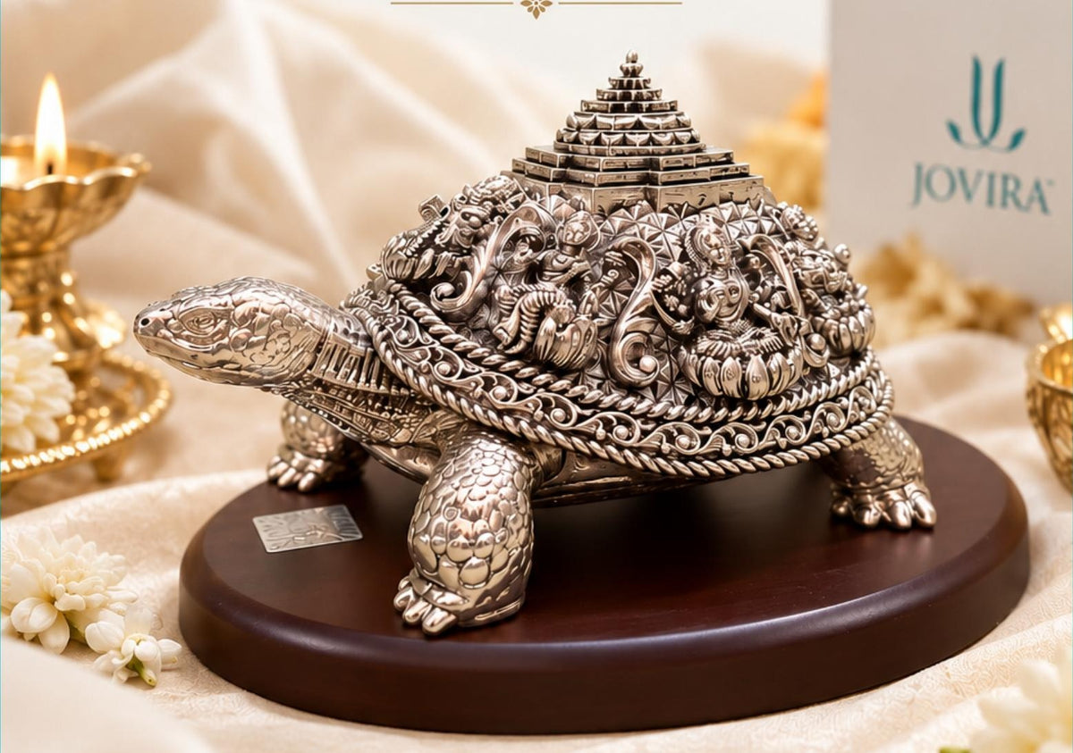 Laxmi Turtle